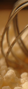 suet